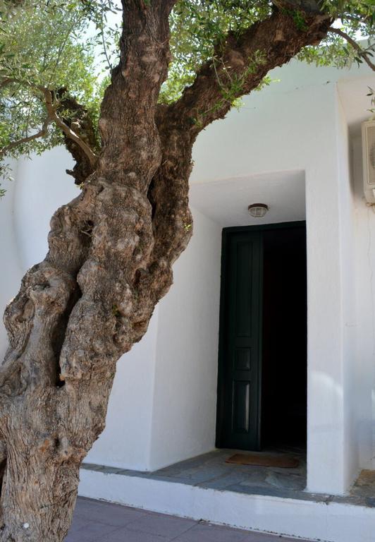 Kalo Chorio Regina别墅 外观 照片
